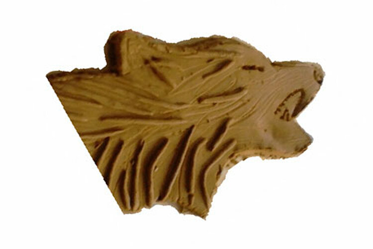 Schüler der ESO-Fachschule für Sozialpädagogik starten das spannende Projekt "Traces"